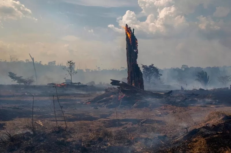 亚马逊雨林火灾