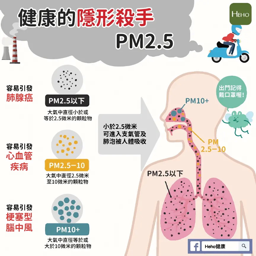 PM2.5对肺癌发病率的影响